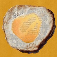 THEFIVENEEDSMAGAZINE press article